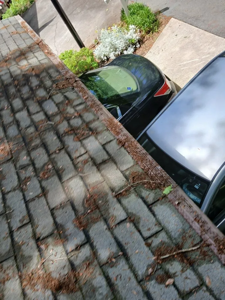 Reliable lawn care service experts serving Winston-Salem, NC - We Will Do It