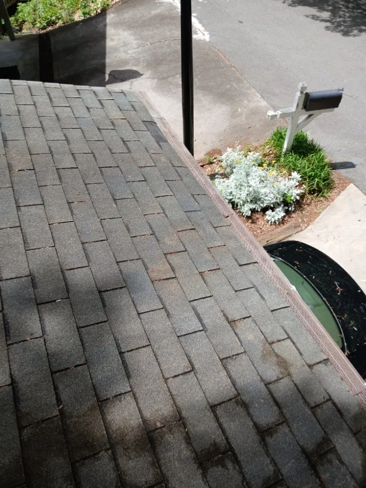 Top-rated landscape installation in Winston-Salem, NC by We Will Do It