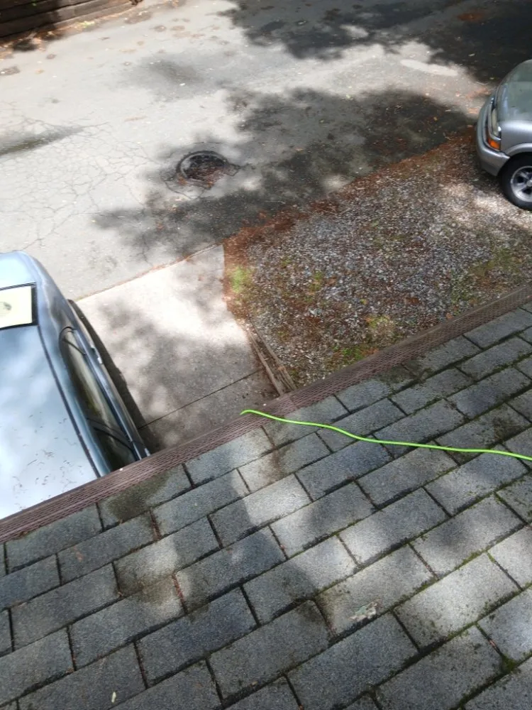 Affordable lawn mowing service experts serving Winston-Salem, NC - We Will Do It