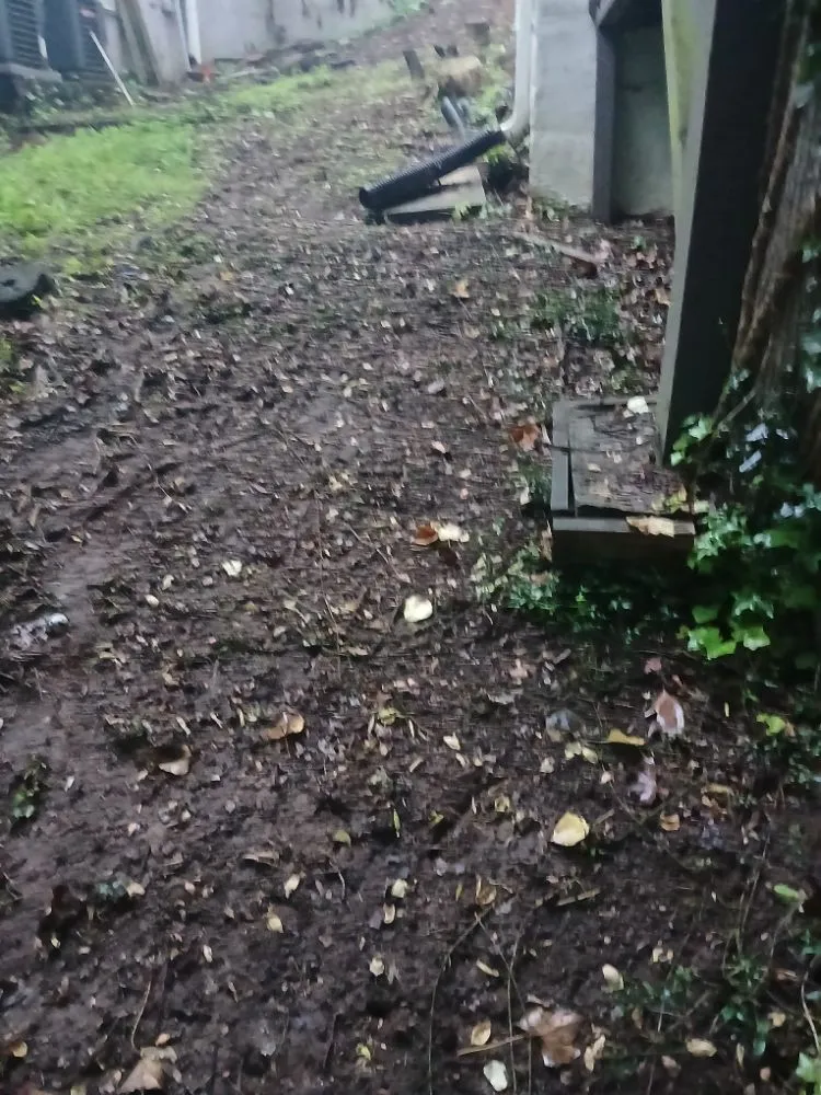 Custom landscaping services in Winston-Salem, NC - We Will Do It