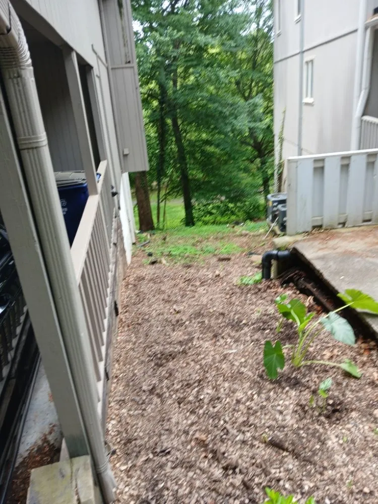 Trusted yard maintenance experts serving Winston-Salem, NC - We Will Do It