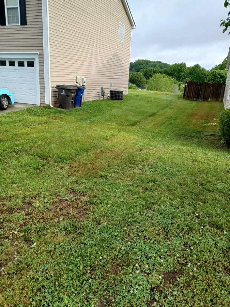 Reliable lawn care service in Winston-Salem, NC by We Will Do It