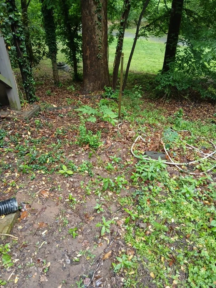 Expert landscape design experts serving Winston-Salem, NC - We Will Do It