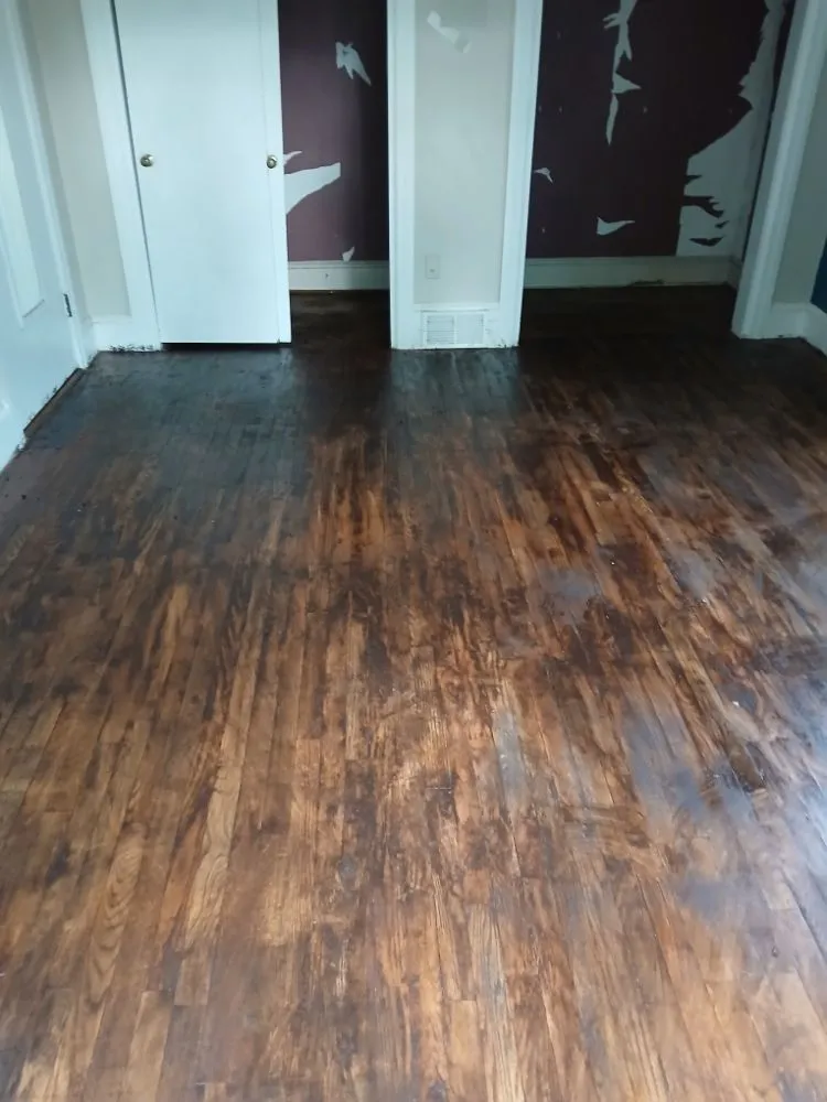 Top-rated yard maintenance for beautiful yards in Winston-Salem, NC by We Will Do It