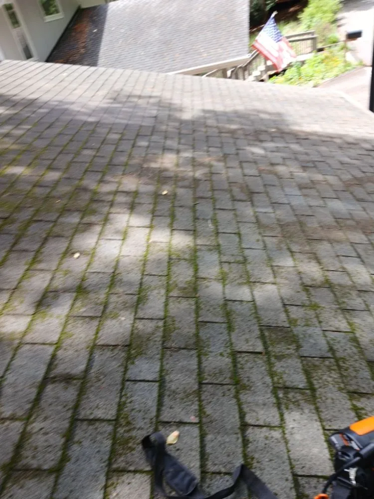 Professional lawn care service for beautiful yards across Winston-Salem, NC - We Will Do It