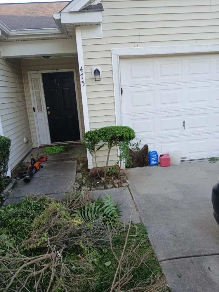 Affordable landscape design in Winston-Salem, NC by We Will Do It