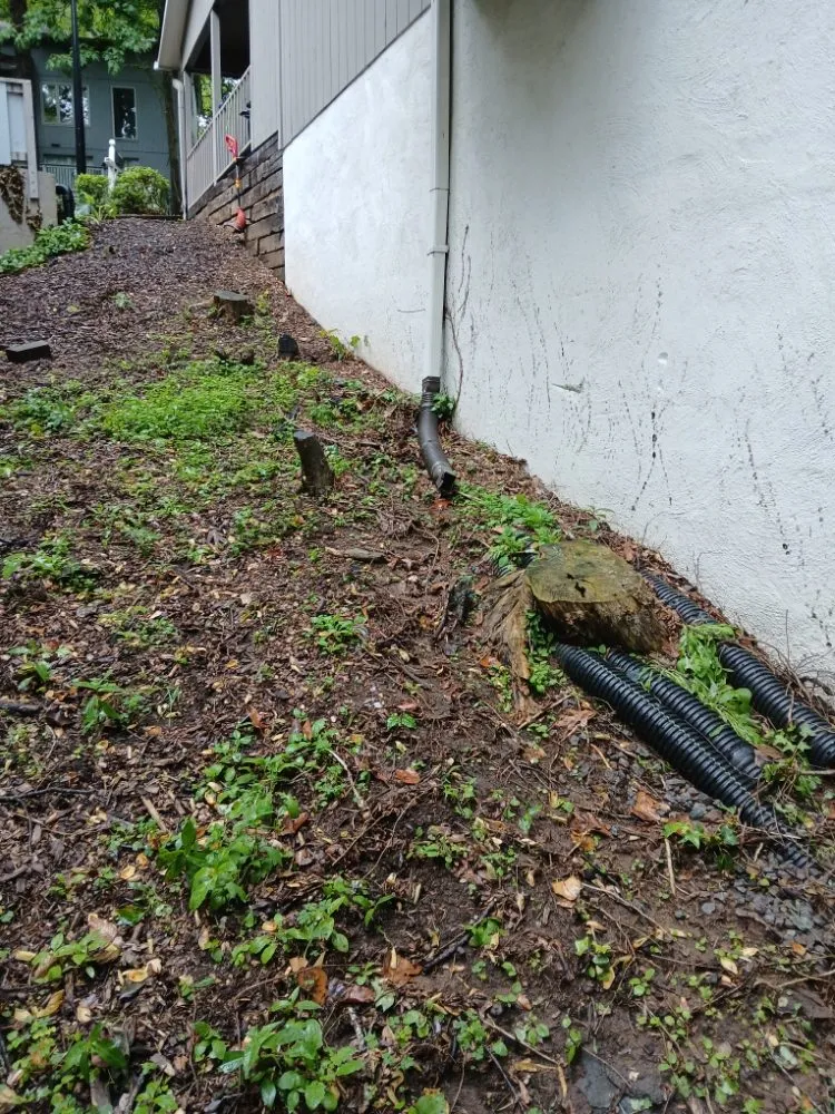 Top-rated lawn care service in Winston-Salem, NC by We Will Do It