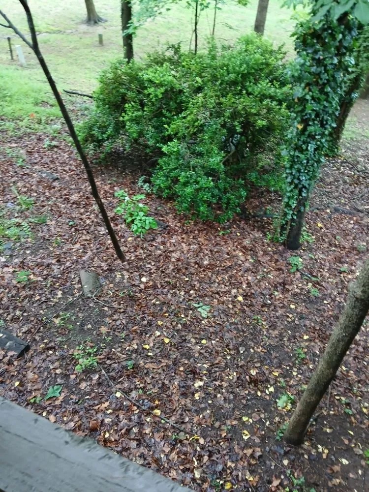 Trusted landscape installation for residential properties across Winston-Salem, NC - We Will Do It