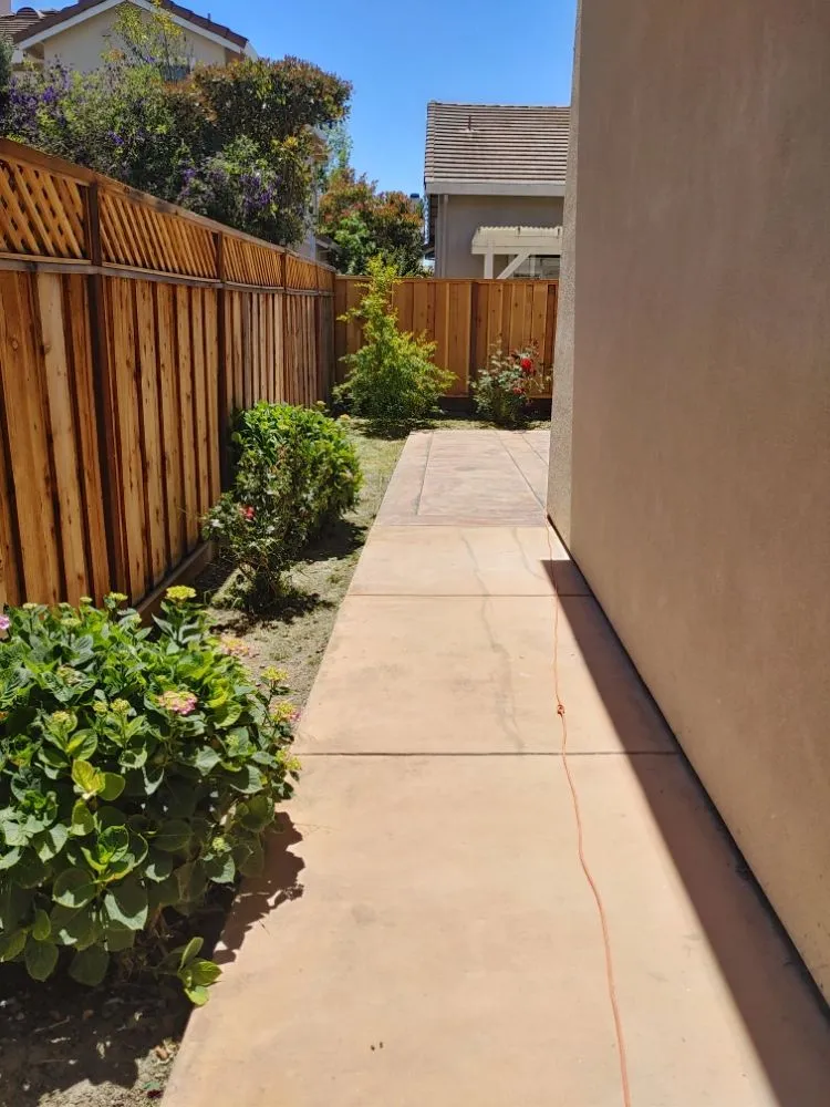 Professional garden landscaping in Palo Alto, CA - We Yard