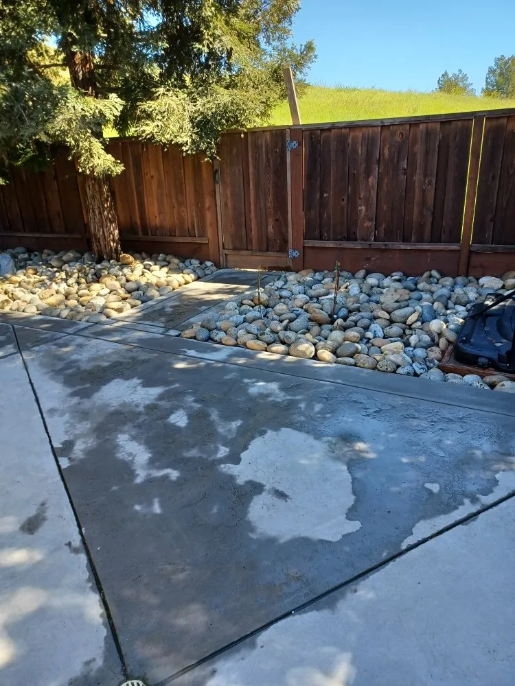 Trusted garden landscaping in Palo Alto, CA by We Yard