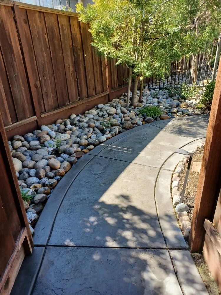 Affordable landscaping services experts serving Palo Alto, CA - We Yard