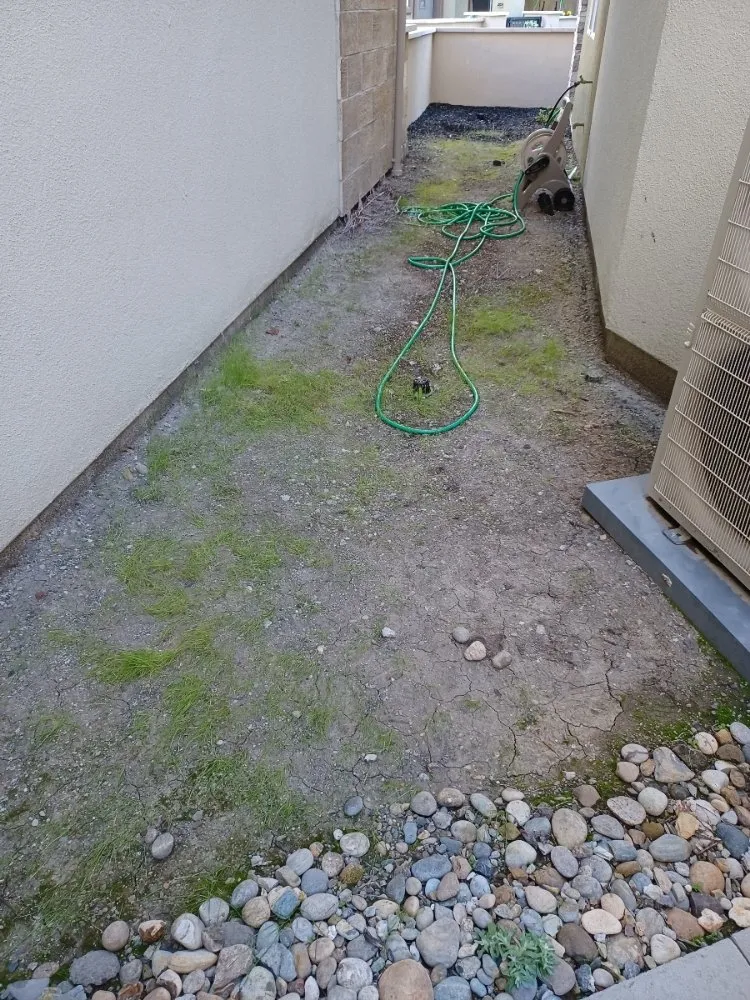 Local lawn care service experts serving Palo Alto, CA - We Yard