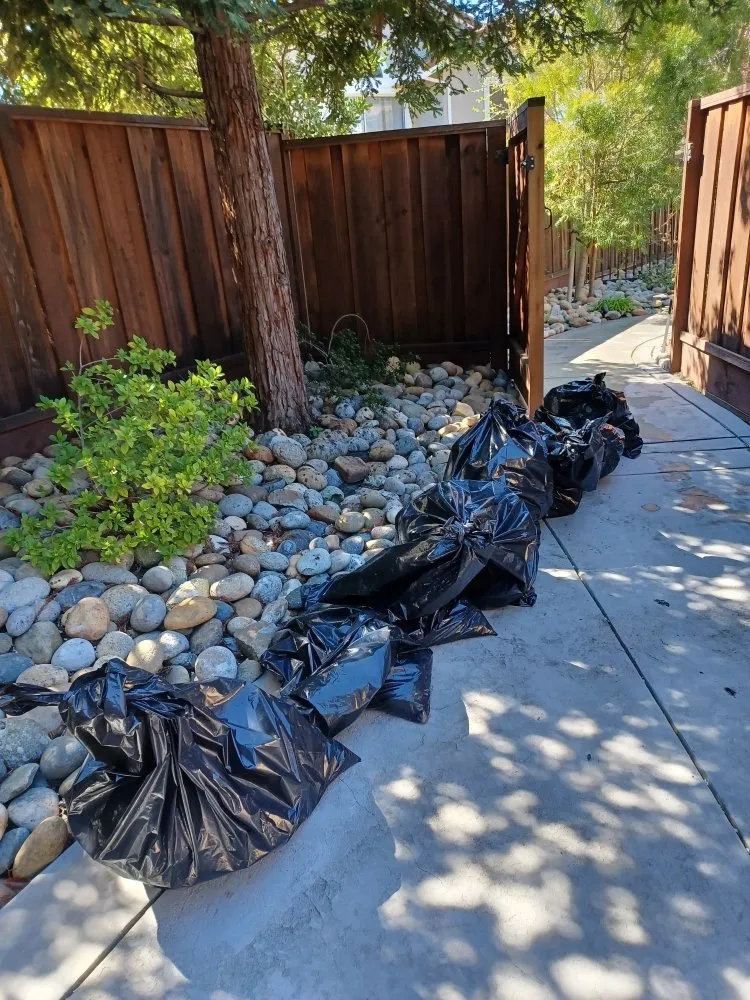 Professional landscape installation experts serving Palo Alto, CA - We Yard