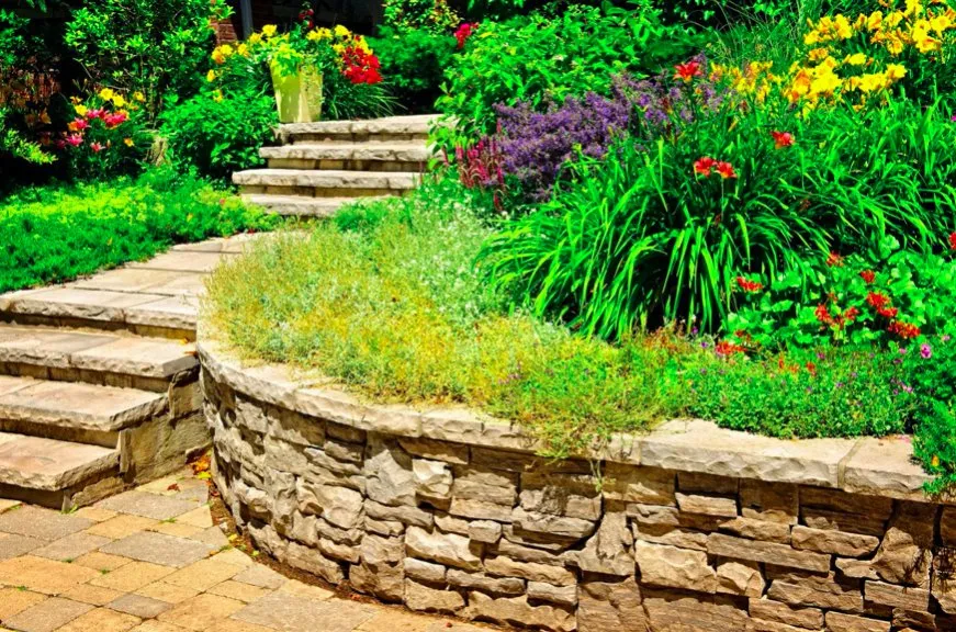 Expert landscaping services for year-round maintenance in Palo Alto, CA by We Yard