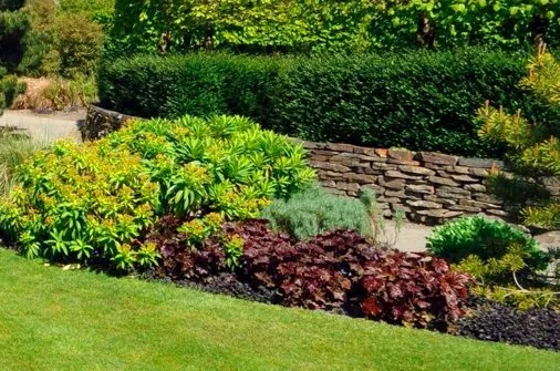 Custom landscape design for residential properties across Palo Alto, CA - We Yard