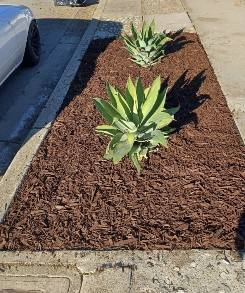 Top-rated outdoor landscaping for homes in Sunnyvale, CA by We Yard Pros