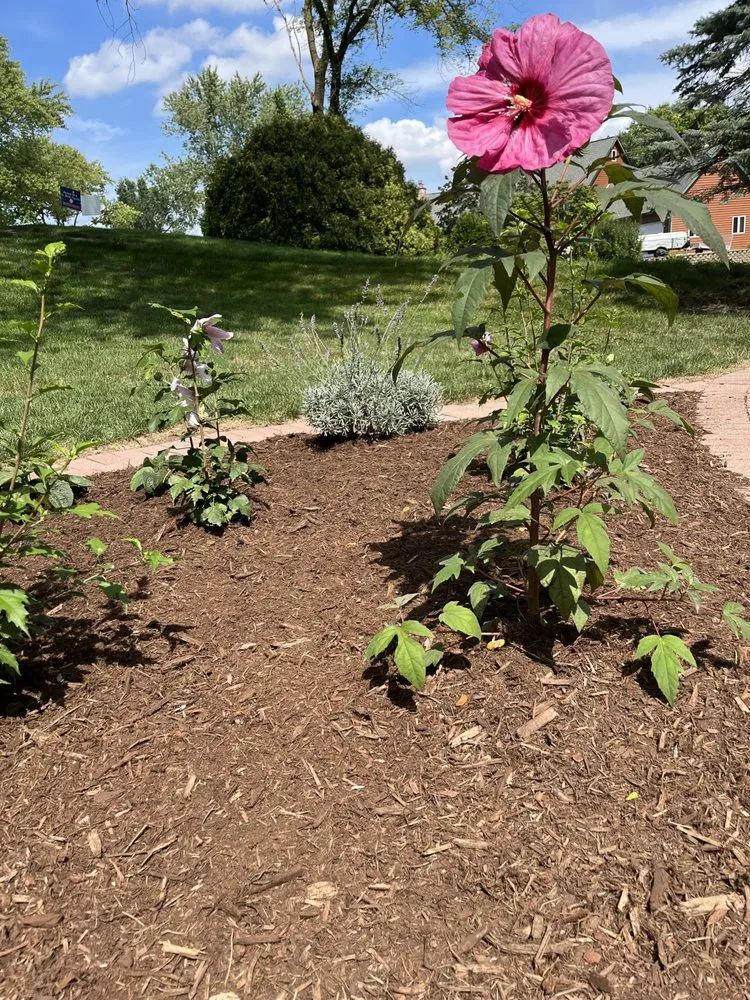 Professional landscaping services experts serving Wauconda, IL - Weadick Bros Landscape and Snow