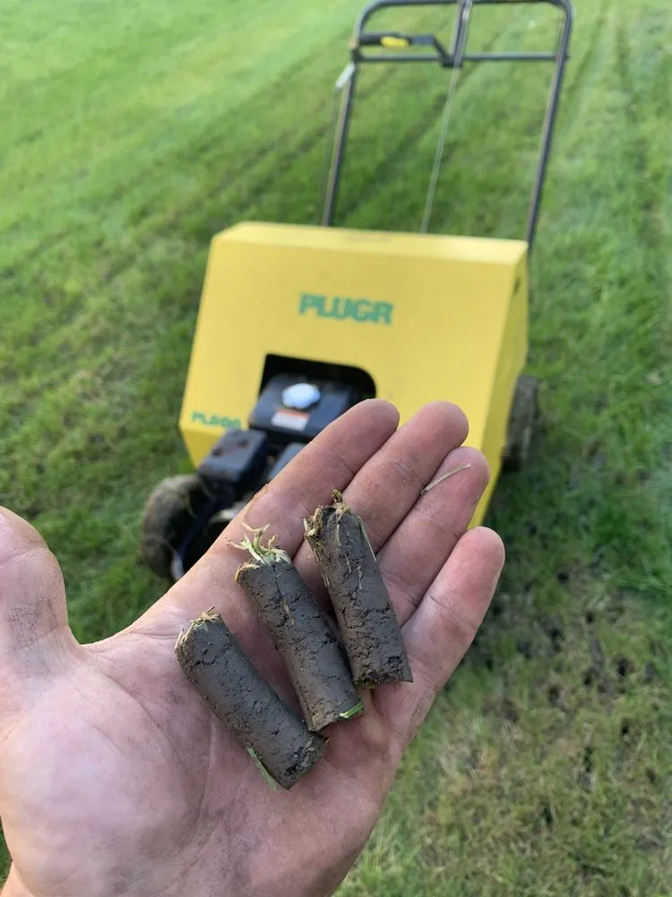 Reliable yard maintenance near you across Wauconda, IL - Weadick Bros Landscape and Snow