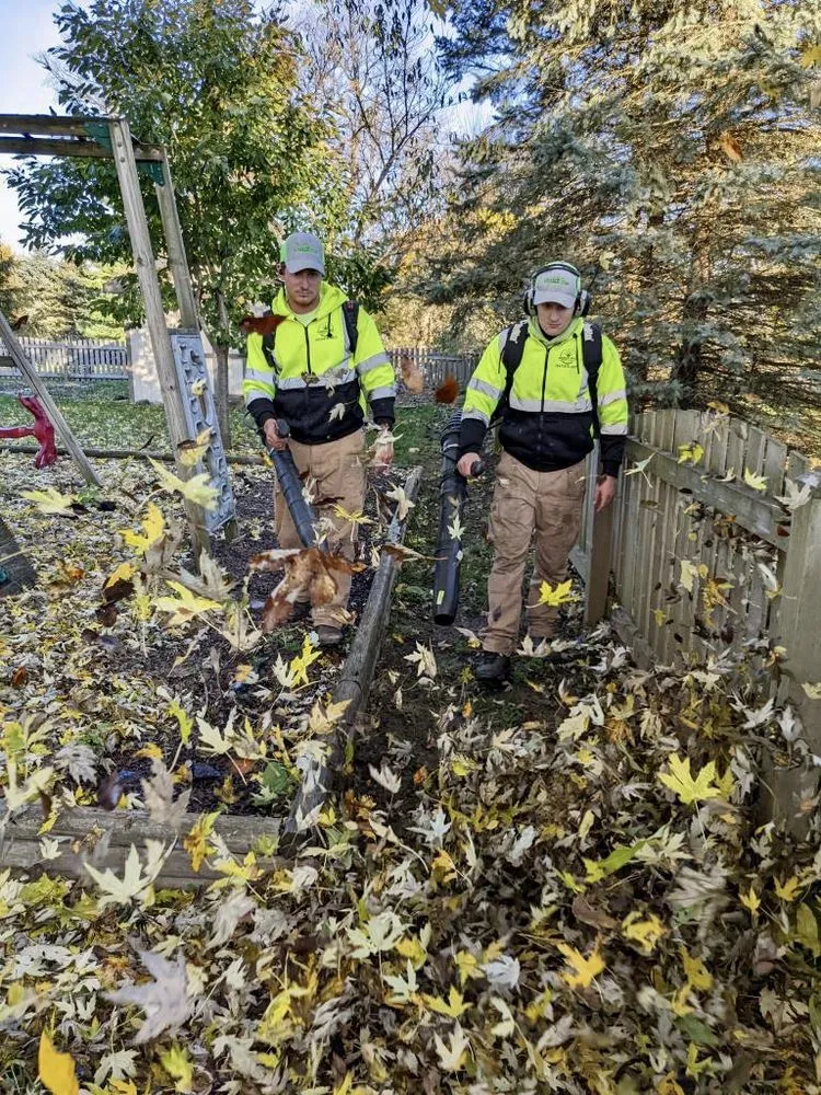 Trusted yard maintenance in Wauconda, IL by Weadick Bros Landscape and Snow