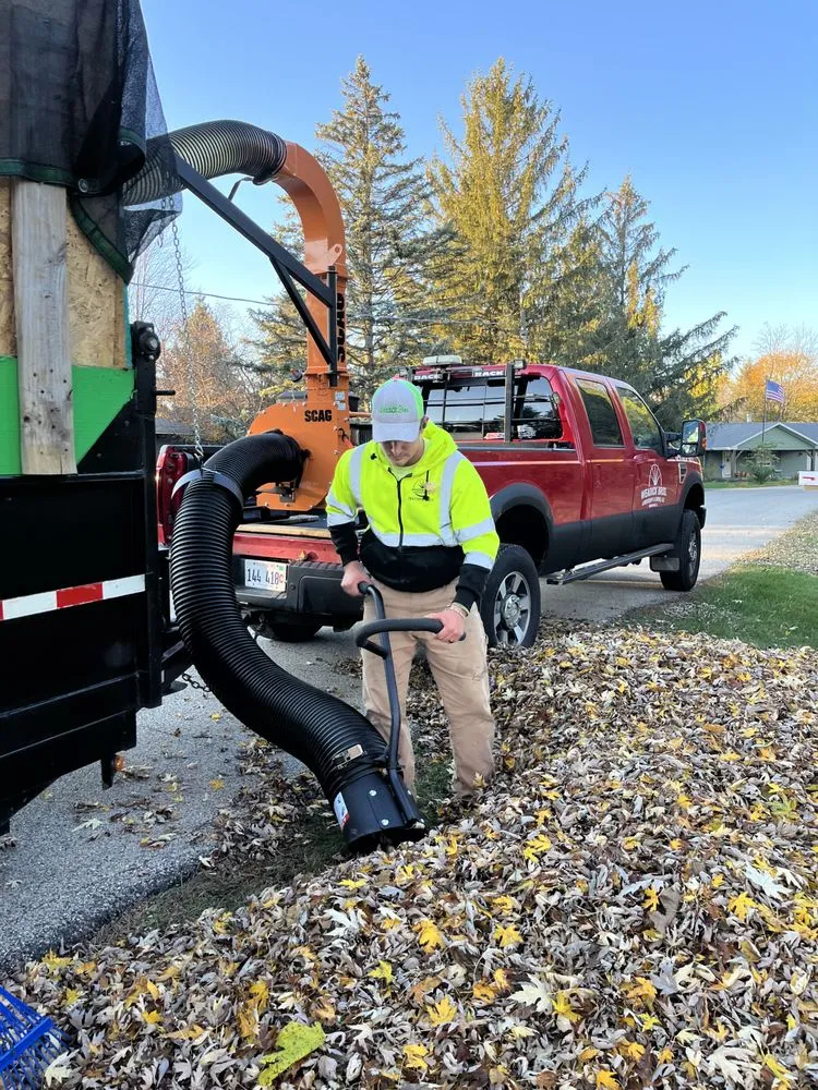 Local yard cleanup service experts serving Wauconda, IL - Weadick Bros Landscape and Snow