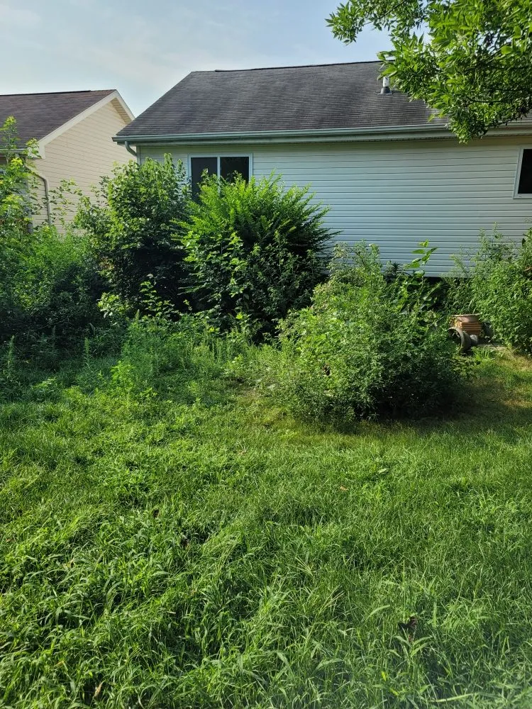 Trusted landscaping services for beautiful yards in Omaha, NE by Weakley Lawns And More