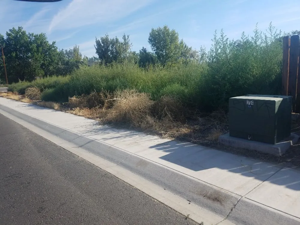 Top-rated garden landscaping near you across Yerington, NV - Wearin Brush Cutting & Tractor Service