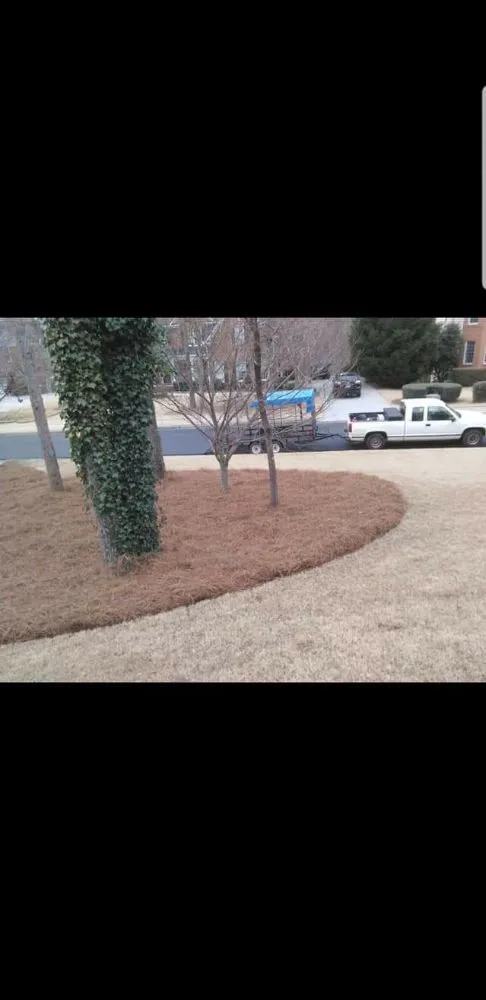 Custom lawn mowing service experts serving Ball Ground, GA - Weatherby Lawn And Property