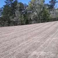 Affordable yard maintenance experts serving Ball Ground, GA - Weatherby Lawn And Property