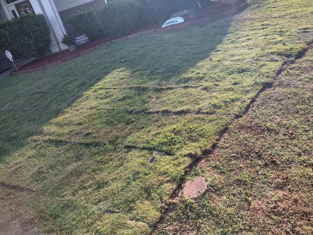 Affordable landscape installation for year-round maintenance in Atlanta, GA by Weaver Landscape