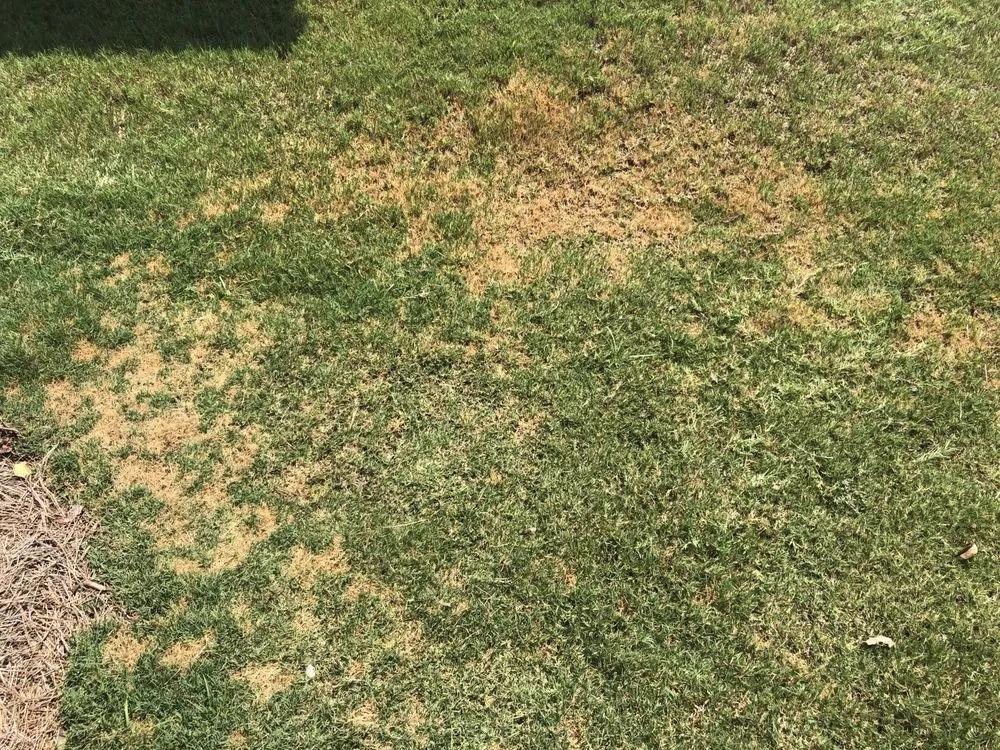 Local garden landscaping experts serving Atlanta, GA - Weaver Landscape