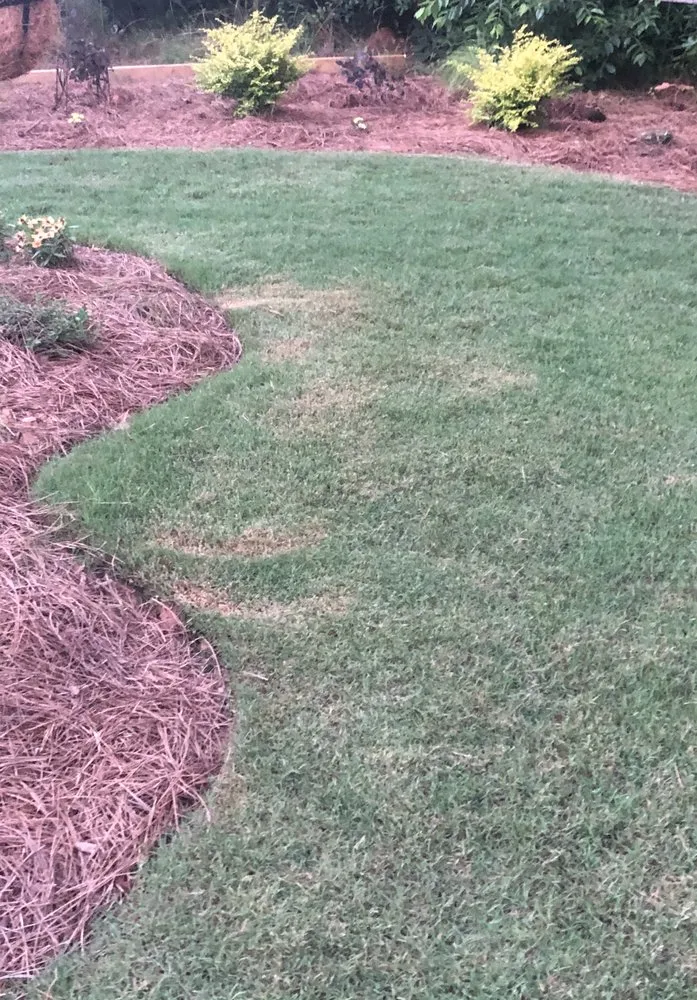 Trusted residential landscaping near you in Atlanta, GA by Weaver Landscape