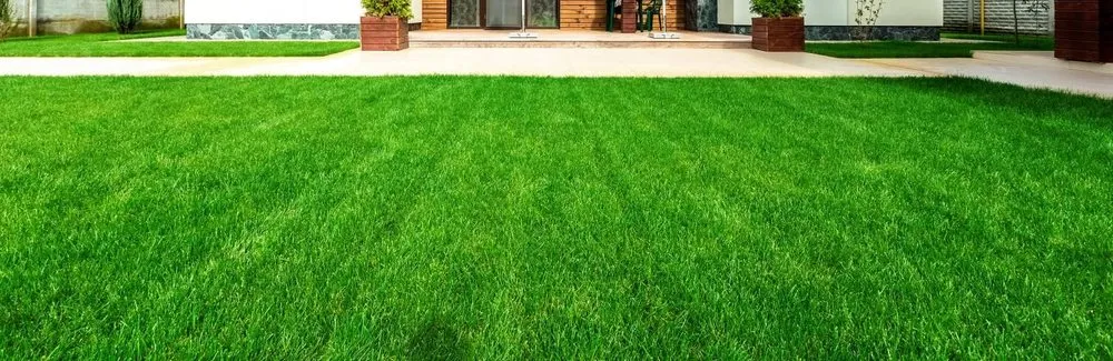 Local landscape design in Newark, DE - Weaver Lawn Care Service