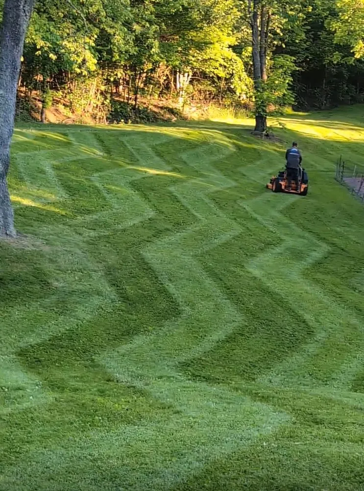 Expert yard cleanup service in East Sparta, OH by Weaver Property Maintenance