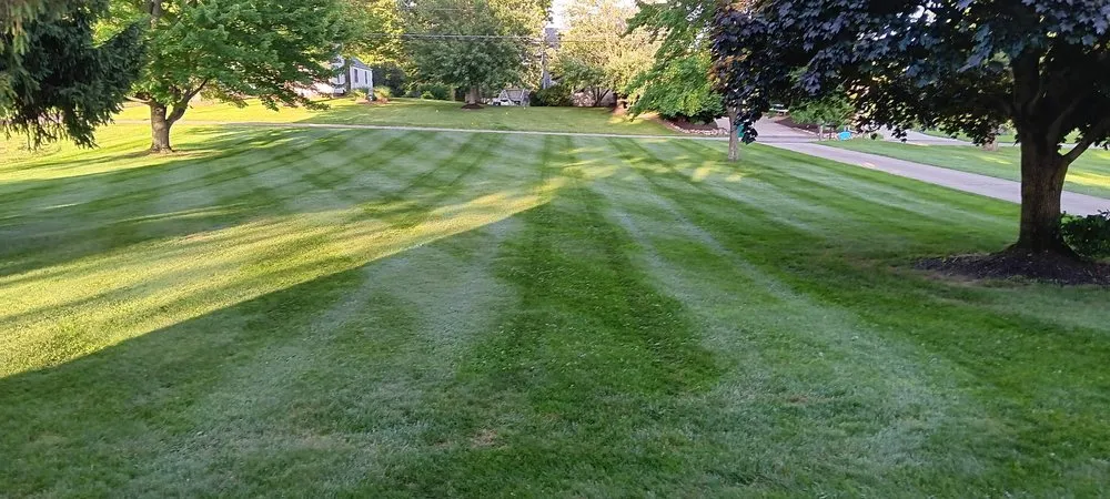 Trusted yard maintenance for beautiful yards across East Sparta, OH - Weaver Property Maintenance