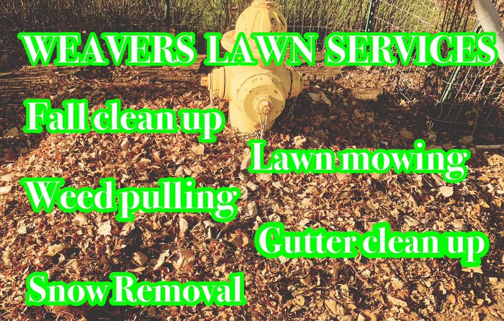 Custom yard maintenance in Great Falls, MT by Weavers Lawn Services