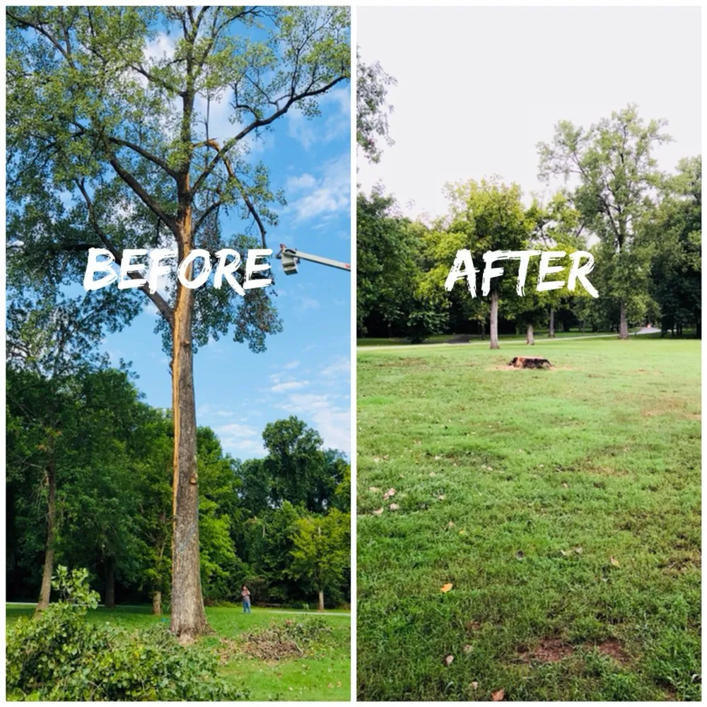 Expert lawn care service in Pine Bluff, AR by Weaver's Tree Service And Stump Removal