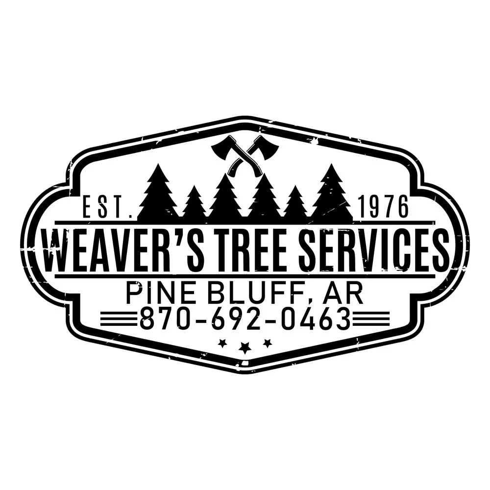 Reliable yard maintenance experts serving Pine Bluff, AR - Weaver's Tree Service And Stump Removal