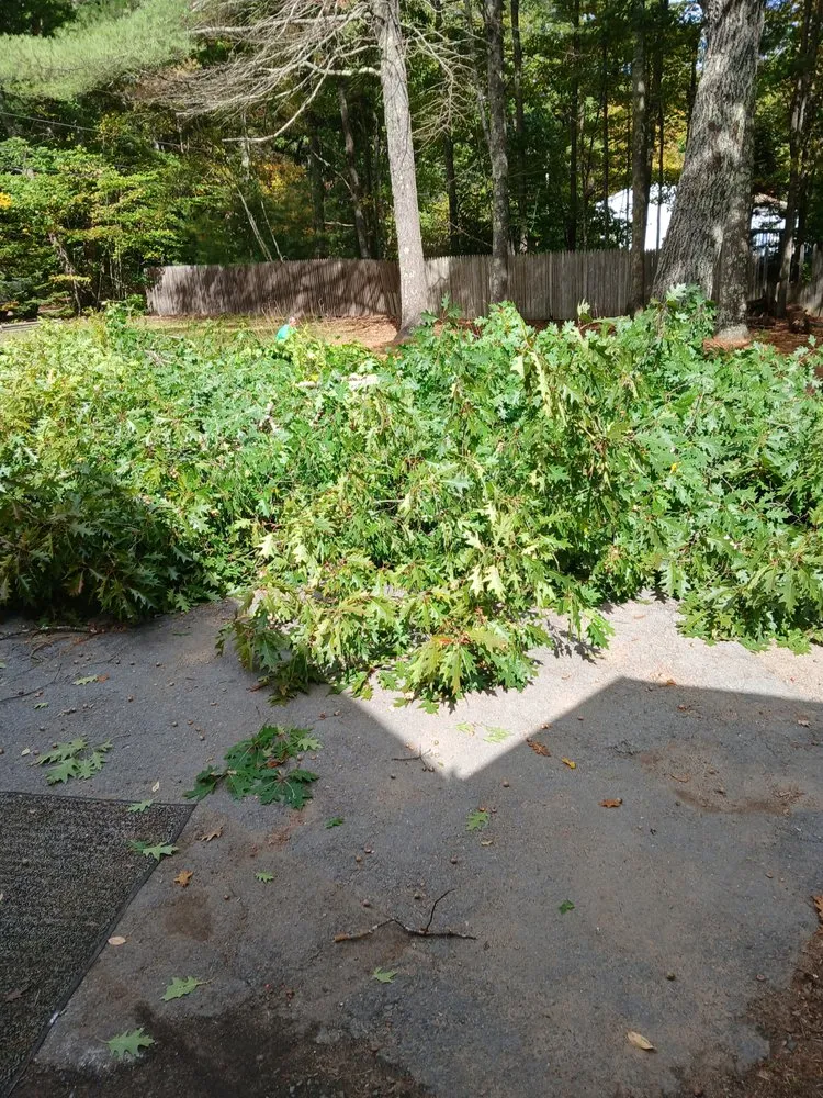 Top-rated lawn mowing service experts serving South Portland, ME - Weavs Landscaping