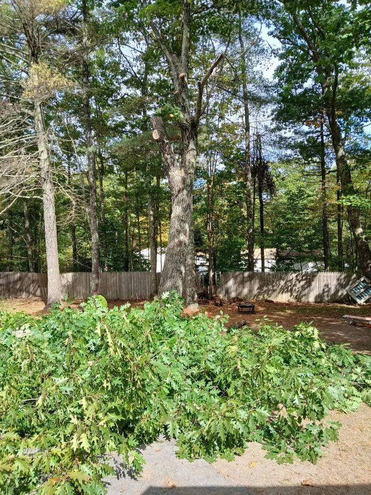 Affordable yard cleanup service in South Portland, ME by Weavs Landscaping