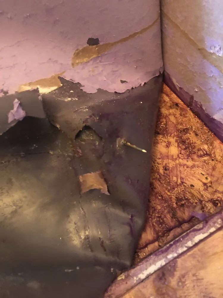 Expert lawn care service experts serving Gastonia, NC - Webb Construction Crawl Space and Design