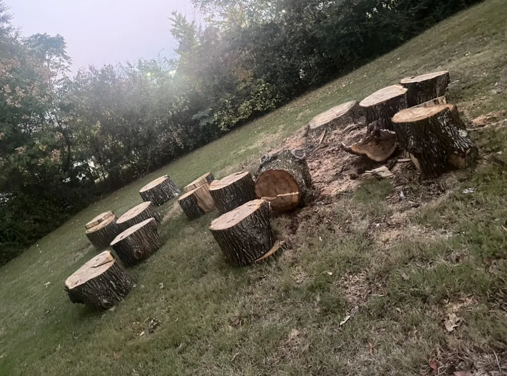 Reliable yard maintenance in Tupelo, MS - Webb Solutions