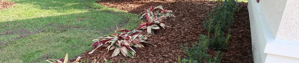 Top-rated yard cleanup service for year-round maintenance across Jacksonville, FL - Webber Backyard Creations