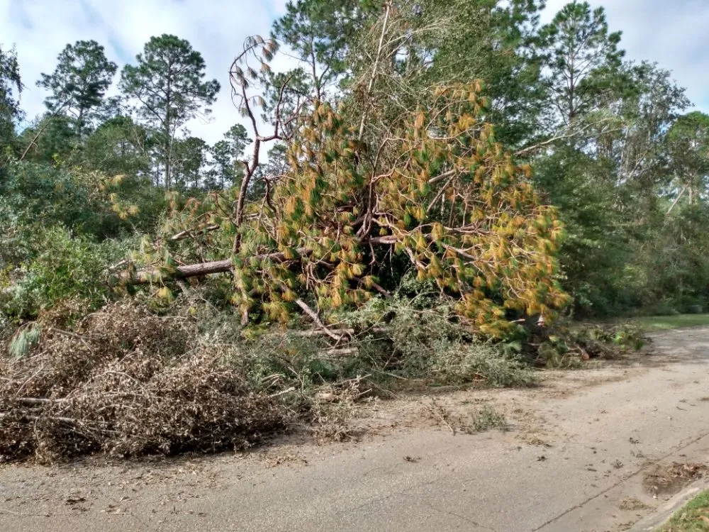 Reliable outdoor landscaping for year-round maintenance across Warsaw, MO - Webber Landscaping & Tree Service
