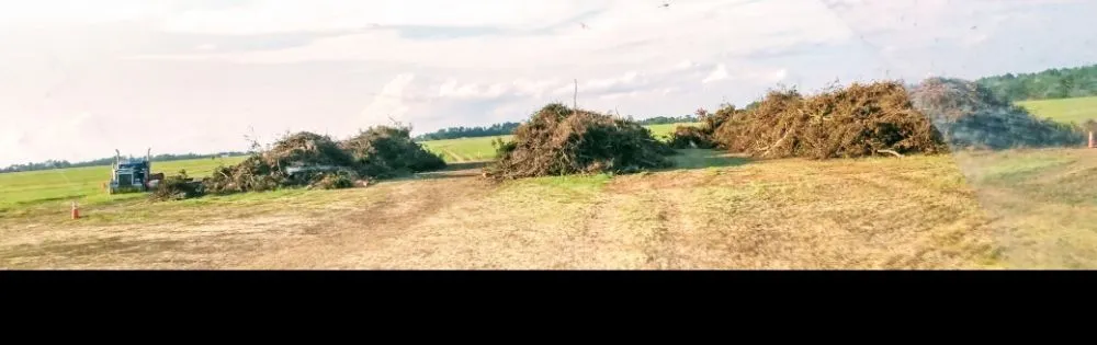 Top-rated lawn mowing service in Warsaw, MO by Webber Landscaping & Tree Service