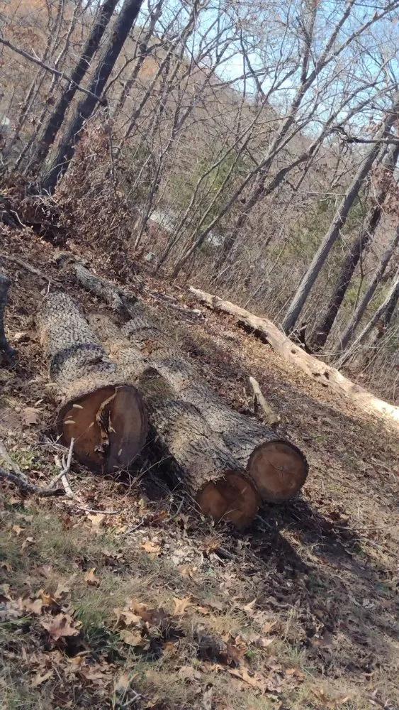 Local garden landscaping experts serving Warsaw, MO - Webber Landscaping & Tree Service