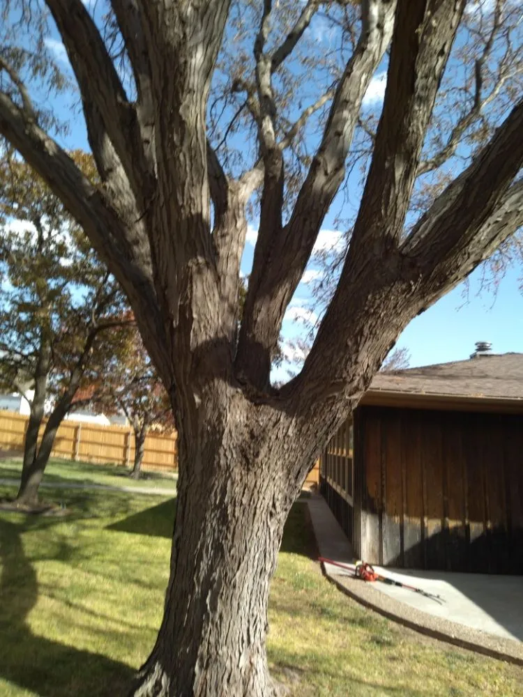 Top-rated outdoor landscaping in Warsaw, MO by Webber Landscaping & Tree Service