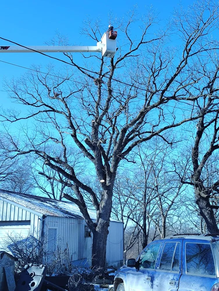 Top-rated yard cleanup service in Warsaw, MO - Webber Landscaping & Tree Service