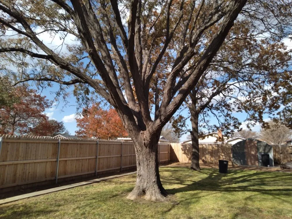 Professional garden landscaping with custom design across Warsaw, MO - Webber Landscaping & Tree Service