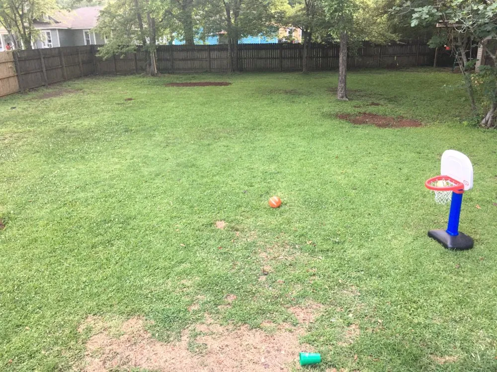 Trusted lawn mowing service in Tupelo, MS by Webber Lawn And Landscaping