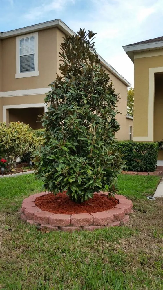 Reliable residential landscaping in Riverview, FL by Webber Lawn Care